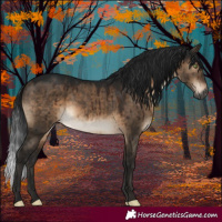 Horse Color:Gray Brown Dun Mushroom Sabino Rabicano Brindle 