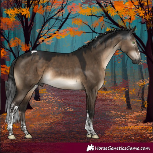 Horse Color:Gray Brown Dun Mushroom Sabino Tobiano Rabicano 