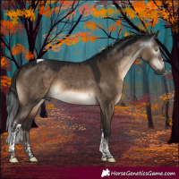 Horse Color:Gray Brown Dun Mushroom Sabino Tobiano Rabicano 