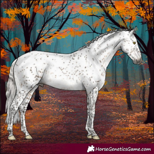 Horse Color:Gray Silver Brown Dun Sabino Brindle 