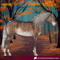 Horse Color:Silver Brown Dun Tobiano Brindle 