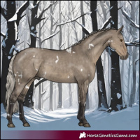 Horse Color:White Spotted Silver Smoky Grullo Rabicano