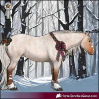 Horse Color:Silver Bay Roan Dun Rabicano 
