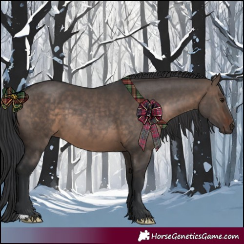Horse Color:Brown Dun 