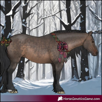 Horse Color:Brown Dun 