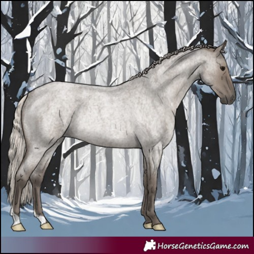 Horse Color:Silver Grullo Roan Rabicano 