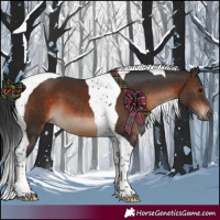 Horse Color:Brown Tobiano 