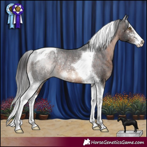 Horse Color:Brown Sabino Tobiano Appaloosa Rabicano 