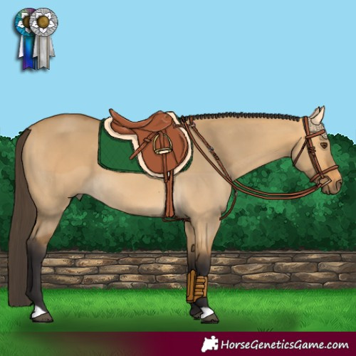 Horse Color:Buckskin Dun Rabicano 