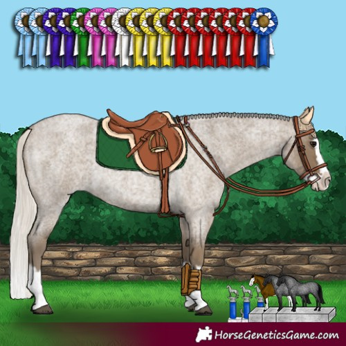 Horse Color:Silver Smoky Blue Roan Splash 