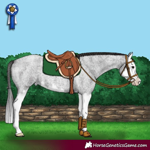 Horse Color:Smoky Blue Roan Splash 