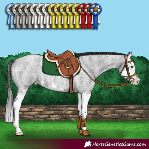 Horse Color:Smoky Blue Roan Splash 