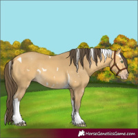 Horse Color:White Spotted Amber Cream Champagne Tobiano 