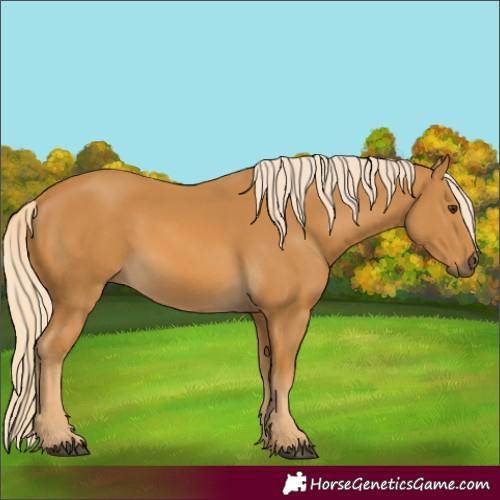 Horse Color:Palomino 