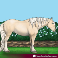 Horse Color:Palomino Pearl