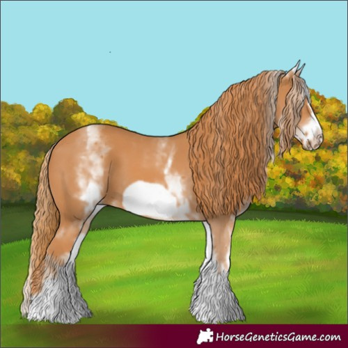 Horse Color:White Spotted Chestnut Frame 
