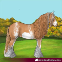 Horse Color:White Spotted Chestnut Frame 