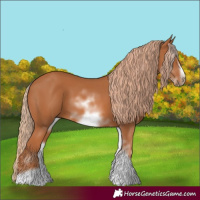Horse Color:White Spotted Chestnut Frame 