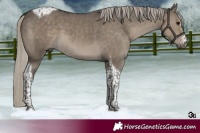 Horse Color:Silver Smoky Grullo Tobiano 