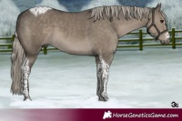 Horse Color:Silver Smoky Grullo Tobiano 