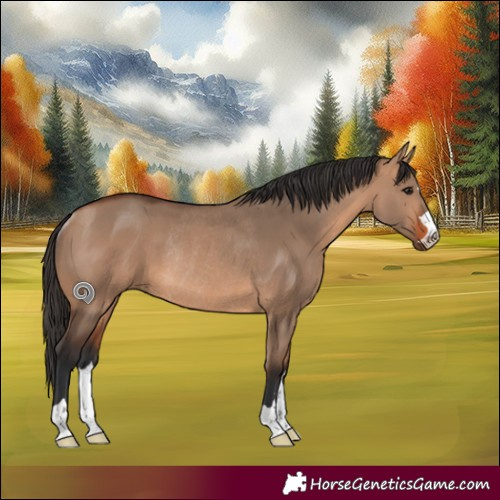 Horse Color:Bay Dun Rabicano 