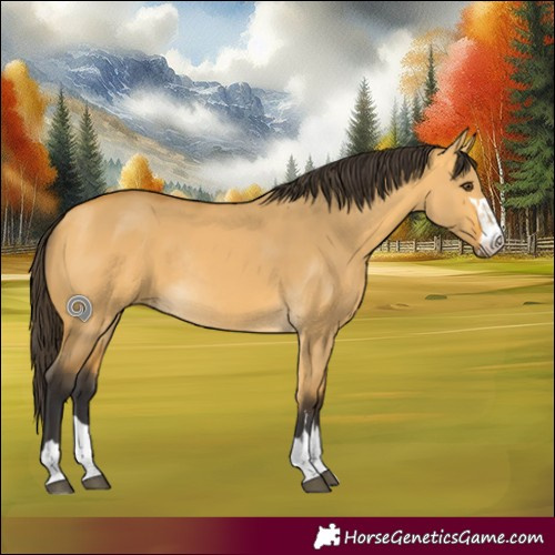 Horse Color:Buckskin Dun Rabicano 