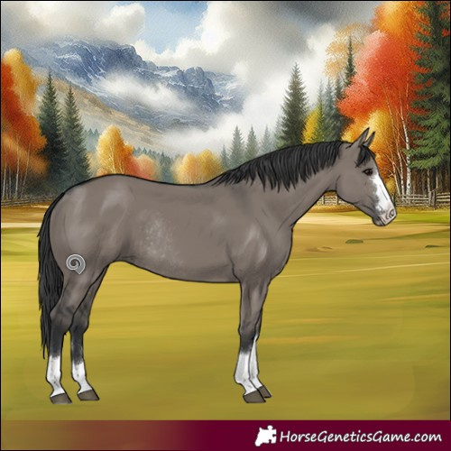 Horse Color:Grullo Rabicano 
