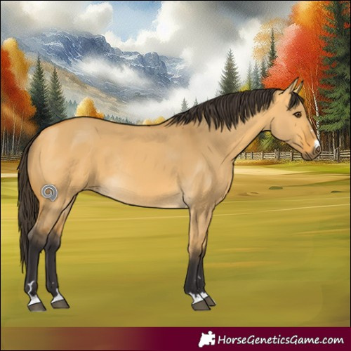 Horse Color:Buckskin Dun Rabicano