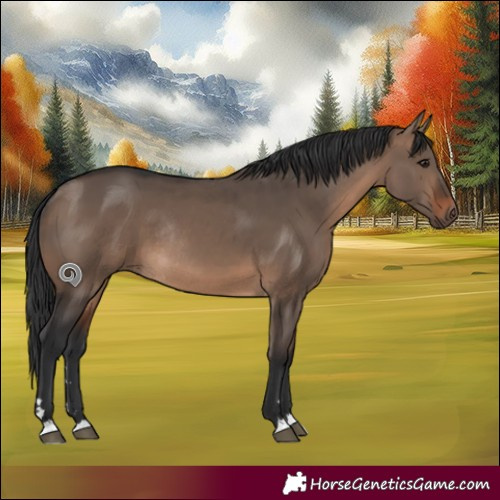 Horse Color:Brown Dun Rabicano 