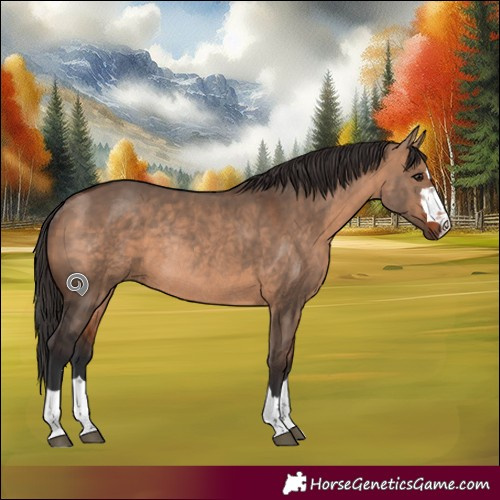 Horse Color:Bay Dun Rabicano 