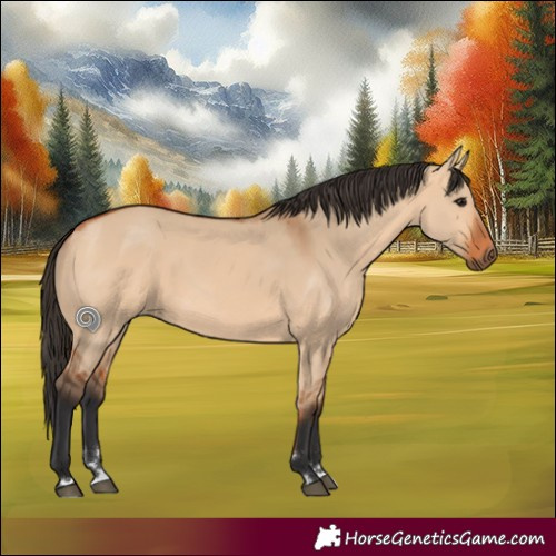Horse Color:Bay Dun Rabicano 