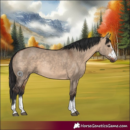Horse Color:Bay Dun Rabicano 