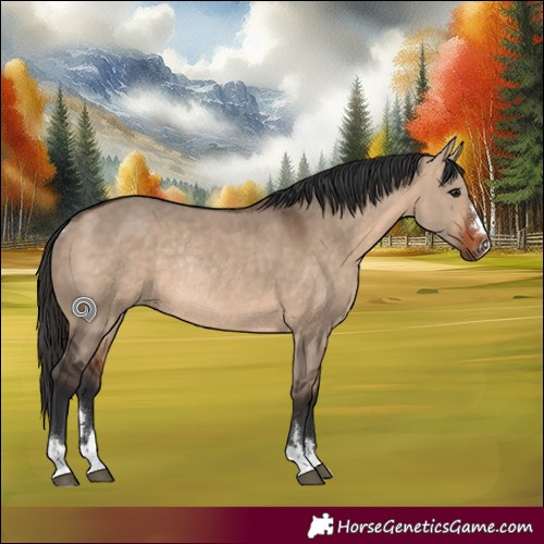 Horse Color:Bay Dun Rabicano