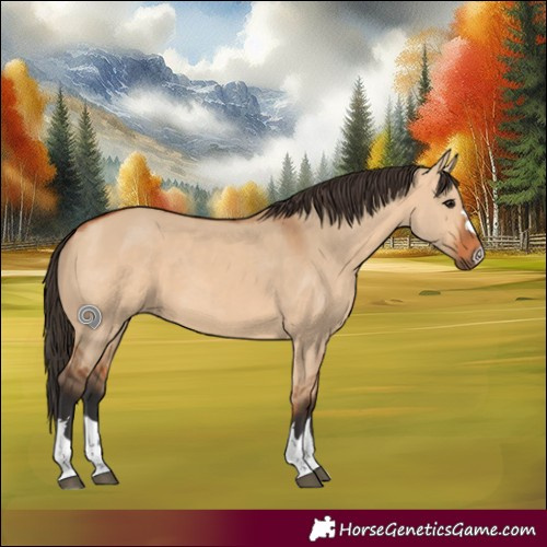 Horse Color:Bay Dun Rabicano 