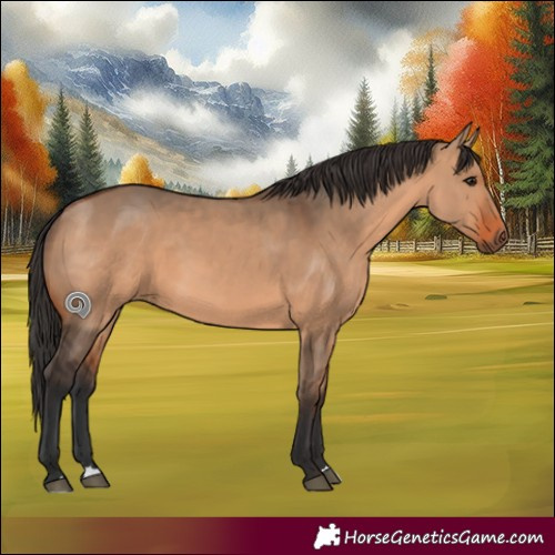Horse Color:Bay Dun Rabicano 