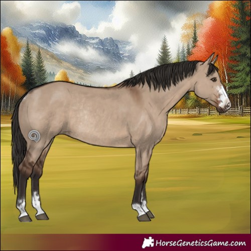 Horse Color:Liver Red Dun Rabicano 
