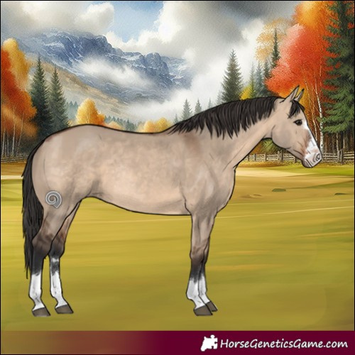 Horse Color:Brown Dun Rabicano 