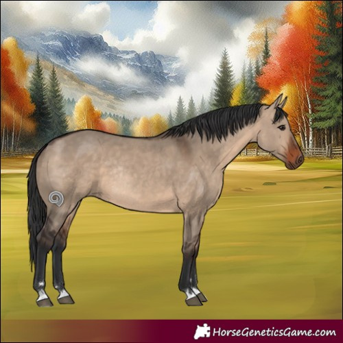 Horse Color:Brown Dun Rabicano 