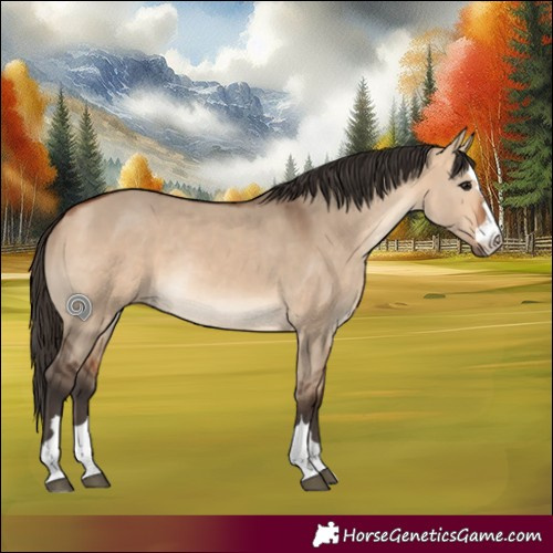 Horse Color:Bay Dun Rabicano 