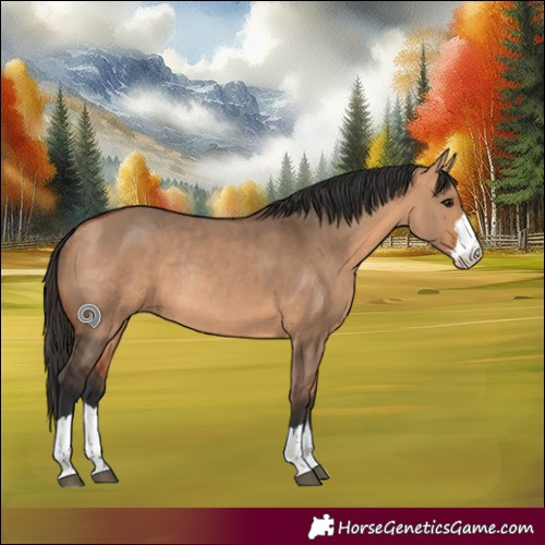 Horse Color:Bay Dun Rabicano 