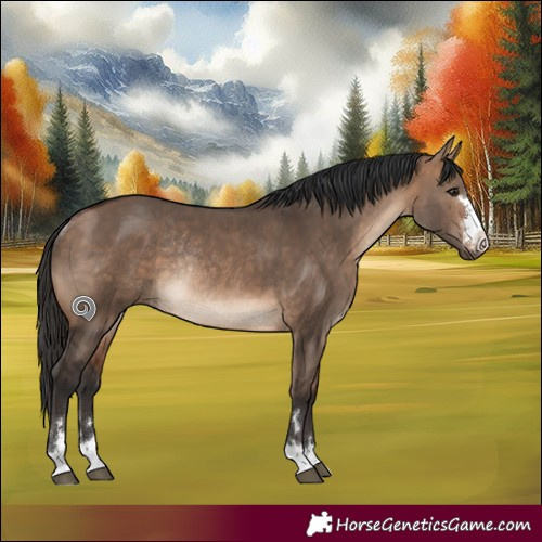 Horse Color:Bay Dun Rabicano