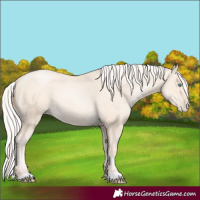 Horse Color:Silver Sable Champagne Snowdrop Pearl 