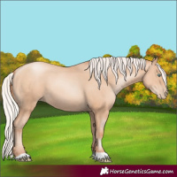 Horse Color:Silver Sable Champagne Pearl