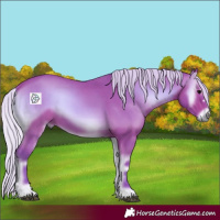 Horse Color:Watercolor Silver Bay Onyx