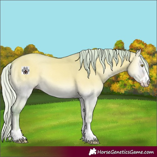 Horse Color:Watercolor Silver Amber Cream Champagne Onyx 