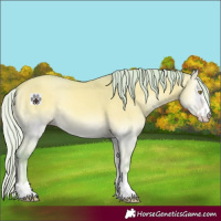 Horse Color:Watercolor Silver Amber Cream Champagne Onyx 