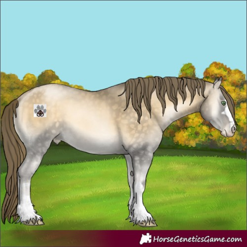 Horse Color:Buckskin Pearl Onyx 