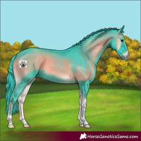 Horse Color:Watercolor Blue Onyx 