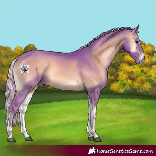 Horse Color:Watercolor Silver Brown Onyx 