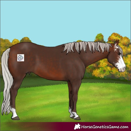 Horse Color:Silver Brown Sabino 